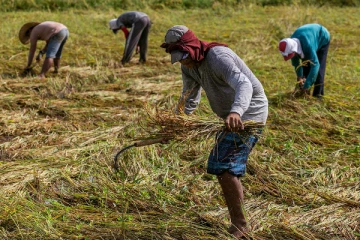 சிறுபோக விவசாயிகளுக்கான எரிபொருள் விநியோகத்திற்கு விசேட திட்டம்