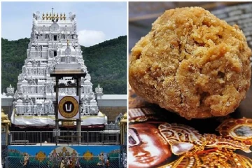 உலகப்புகழ் பெற்ற திருப்பதி லட்டு : தீயாய் பரவும் தகவல்