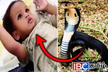 பொம்மை என நினைத்து பாம்பை கடித்த குழந்தை