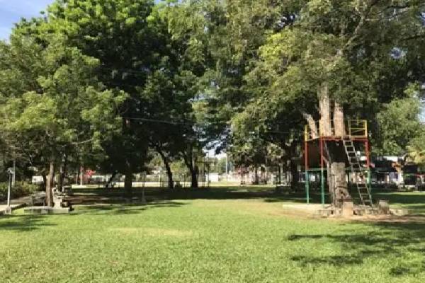 யாழ். பழைய பூங்காவில் உள்ளக அரங்கு அமைக்க இடைக்காலத்தடை | Jaffna Ban On Setting Up Indoor Arenas Old Park