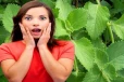 இந்த ஒரு செடியின் இலையில் இத்தனை நன்மைகளா?