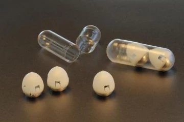 இலங்கையில்  நீரிழிவு நோயைக் கட்டுப்படுத்தக்கூடிய மாத்திரைகள் கண்டுபிடிப்பு