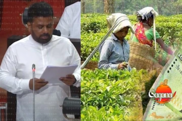 වතු කම්කරු දෛනික වැටුප ඉහළට