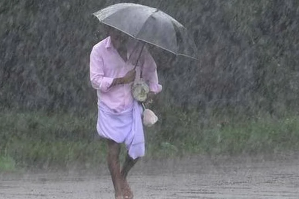 யாழ் மழைவீழ்ச்சி பதிவை வெளியிட்ட அதிகாரி! | The Official Released Record Rainfall In Jaffna
