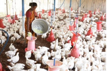 பாரிய பொருளாதார நெருக்கடி - மூடப்படும் விலங்கு பண்ணைகள்