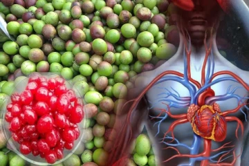 சாலையில இந்த காயை பார்த்தா உடனே வாங்கி சாப்பிடுங்க.. ஏராளமான மருத்துவ குணங்கள்!