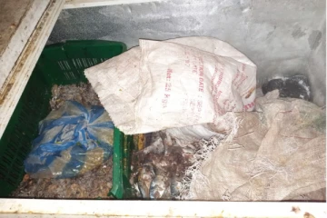 யாழ்.உணவகங்களில் நடத்தப்பட்டுள்ள திடீர் பரிசோதனை(Photo)