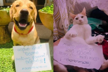 கோட்டாபய அரசுக்கு எதிராக போராட்டத்தில் மிருகங்கள்! வைரல் புகைப்படங்கள்