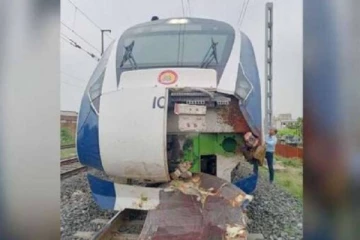 மாடுகள் மோதியதில் வந்தே பாரத் ரயில் சேதம்