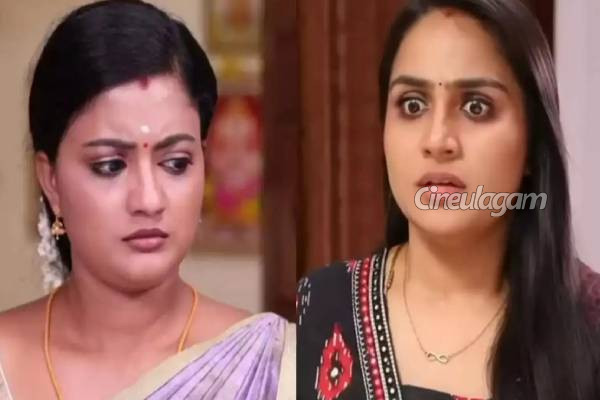 பாட்டியை காணவில்லை, க்ரிஷ் அம்மாவை கண்டுபிடிக்க மீனா சொன்ன விஷயம், சிக்கப்போகும் ரோஹினி... சிறகடிக்க ஆசை புரொமோ | Siragadikka Aasai Serial August 12 Episode Promo