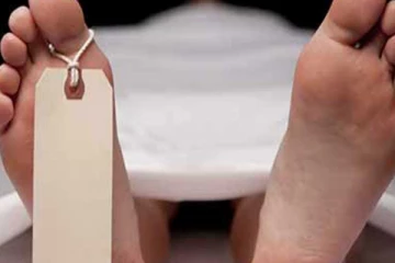 ආහාරය සඳහා කොස්ගෙඩි බැලීමට ගිය කාන්තාවකගේ, හිසට කොස් ගෙඩියක් වැටී මියයයි (VIDEO)