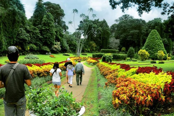 பூங்காவிற்கு வந்த சுற்றுலாப்பயணி திடீர் உயிரிழப்பு! | A Tourist Who Came To The Park Died Suddenly