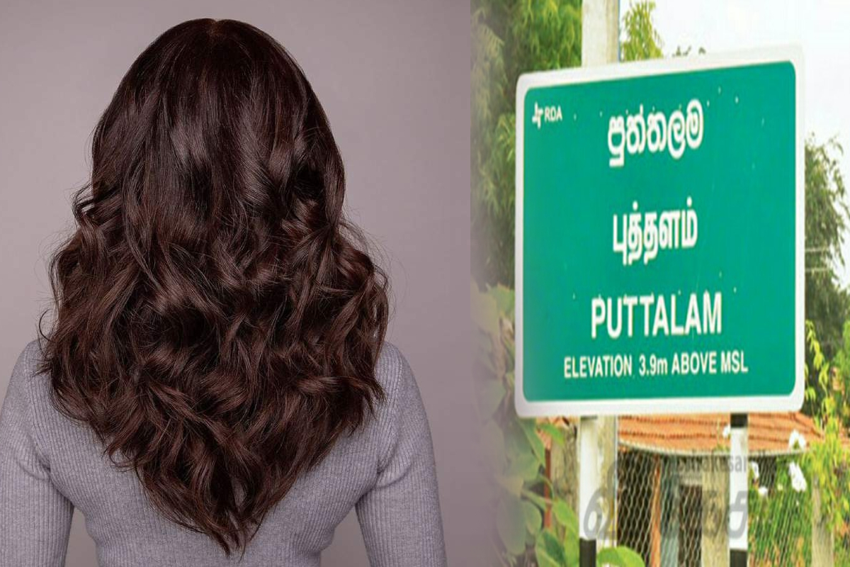 இலங்கைப் பெண்களின் தலைமுடியில் பாதரசமா; வெளியான பகீர் தகவல் | Mercury In Sri Lankan Women S Hair இலங்கைப் பெண்களின் தலைமுடியில் பாதரசமா; வெளியான பகீர் தகவல் | Mercury In Sri Lankan Women S Hair