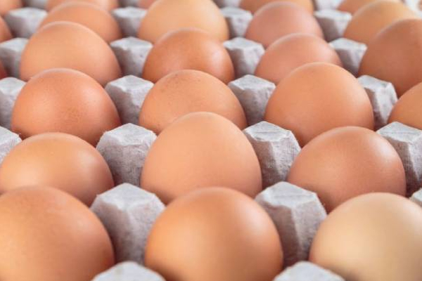 முட்டை விலை எதிர்காலத்தில் மேலும் அதிகரிக்காலம்! அமைச்சர் நளின் | Egg Prices May Increase Further In Future Nalin