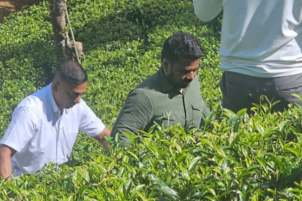 ஜனாதிபதி அநுர குமார திடீர் விசிட்; இடைநடுவில் செய்த நெகிழ்ச்சி! | President Anura Kumara S Surprise Met Hill People