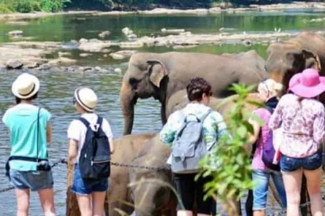இலங்கைக்கு படையெடுக்கும் இந்தியர்கள் - வளர்ச்சி காணும் சுற்றுலாத்துறை