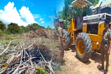 மட்டக்களப்பில் சட்டவிரோத காடழிப்புக்கு எதிராக பொலிஸார் நடவடிக்கை