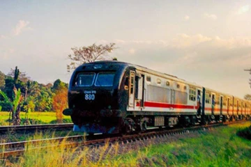 யாழ்ப்பாணத்தில் ரயிலில் மோதி மாற்றுத்திறனாளி உயிரிழப்பு