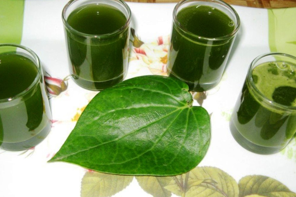யூரிக் அமில பிரச்சனைக்கு சிறந்த பானம் | Best Drink For Uric Acid Problem