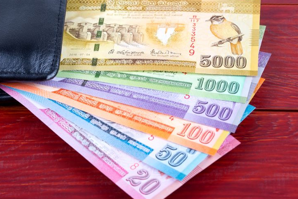 தொழிலாளர்களின் 1500 ரூபா சம்பள அதிகரிப்பிற்கு பெருந்தோட்ட நிறுவனங்கள் இணக்கம் | Plantation Company Agree 1500 Salary Estate Worker