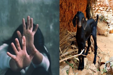 6 வயது சிறுமியையும் ஆட்டையும் வன்கொடுமை செய்த முதியவர் - வீடியோ எடுத்த சிறுவன்