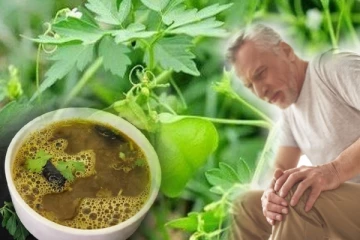 முழங்கால் மூட்டு வலியால் அவதியா? இந்த சூப்பை குடித்தால் போதும்... வலி பறந்துவிடும்