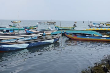 மூன்று கோடி ரூபா பெறுமதியான கடலட்டைகளுடன் ஒருவர் கைது