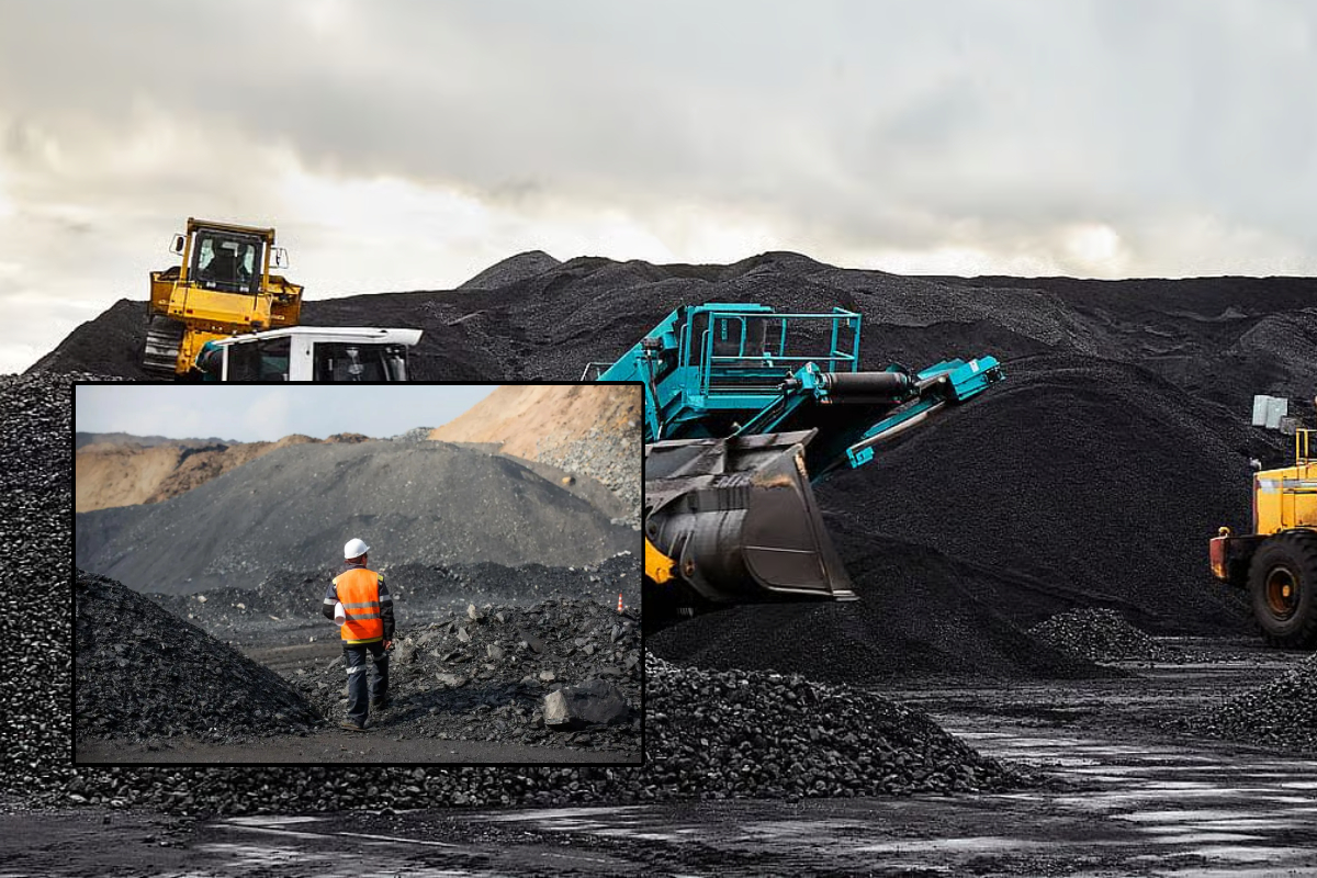 நுரைச்சோலைக்கு இறக்குமதி செய்யப்படும் தரமற்ற நிலக்கரியால் பாதரச அபாயங்கள் இருப்பதாக CEJ எச்சரிக்கை | Mercury Risks From Imported Coal For Nuraicholai