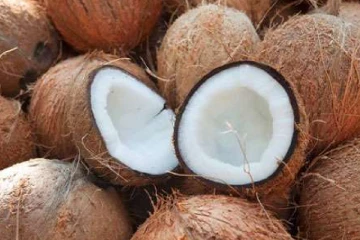 පොල් ගැන නරක ආරංචියක් - තව මාස හයකින් ලංකාවම අමාරුවේ