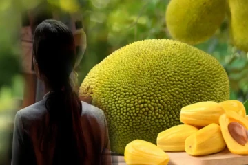 பலா பழத்தால் ஏற்பட்ட மோதல் ; மகளை இரும்புத் தடியால் தாக்கிப் படுகொலை செய்த தந்தை