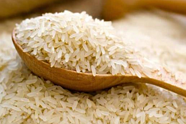 போலி ஆவணங்கள் தயாரித்து நெல் திருட்டு; இடைநிறுத்தப்பட்ட நெல் களஞ்சியசாலை காப்பாளர்கள் | Paddy Theft In Store Suspended Paddy Storekeeper