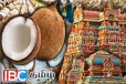 தேங்காய் விலை உயர்வு - கோவில்களில் பக்தர்களுக்கு ஏற்பட்டுள்ள சிக்கல்