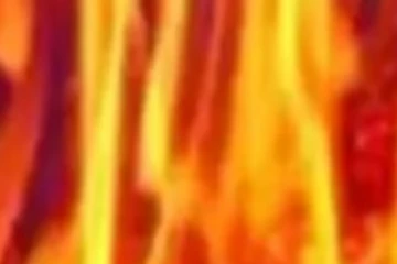 හදිස්සියේම නිවසක ගින්නක් - ගින්න පාලනයට ගිනි නිවීමේ ඒකකය පැමිනෙයි