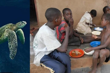 ஆமையால் பெற்றோர் கண் எதிரே குழந்தைகளுக்கு ஏற்பட்ட சோகம்.. பிரபல நாட்டில் அதிர்ச்சி சம்பவம்!