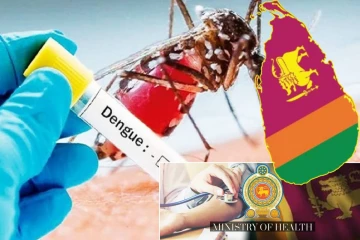 நாட்டில் 7 மாவட்டங்களில் டெங்கு அபாயம் : சுகாதார அமைச்சு எச்சரிக்கை!
