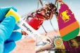 நாட்டில் 7 மாவட்டங்களில் டெங்கு அபாயம் : சுகாதார அமைச்சு எச்சரிக்கை!