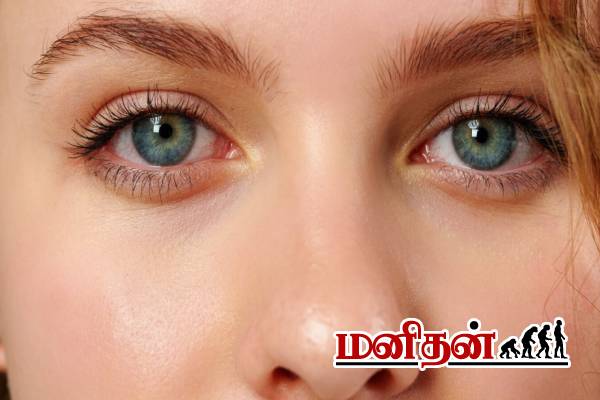 இனியும் தாமதிக்காதீங்க.. விழித்திரை பாதுகாக்கும் உணவுகள்- அடிக்கடி சாப்பிடுங்க! | Nutrition Foods For Healthy Eyes