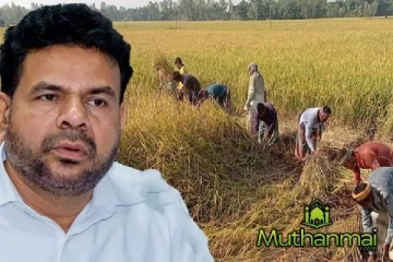 நெல்லுக்கு குறைந்த விலை : அரசை விமர்சிக்கும் விவசாயிகள்