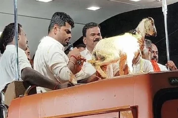 அண்ணாமலைக்கு 'ஆட்டுக்குட்டியை' பரிசாக கொடுத்த பாஜக தொண்டர்! பெயர் சூட்டி மகிழ்வு