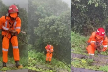 பள்ளத்தாக்கில் செல்போனை வீசிய குரங்கு: தேடுதல் பணி ஆரம்பம்!