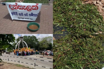 "..අපිට ඕන ගෝඨා.." කියූ පා ගමනට තණකොළ ,පුන්නක්කු සමග ගල් ප්රහාර - හැමෝම හොයන ඡායාරූප පෙළ මෙන්න..(PHOTOS)