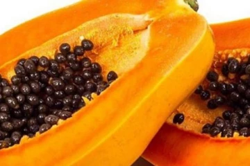 நிறைய மருத்துவ குணங்களை கொண்டுள்ள பப்பாளி விதை! இப்படி எடுத்து கொண்டால் நன்மையே