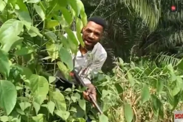 கர்ப்பமாக இருக்கும் குரங்குகளை வேட்டையாடிய நபர்: இன்று அவர் பிள்ளைகளுக்கு ஏற்பட்டுள்ள பரிதாப நிலை...