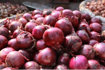 நாட்டில் வெங்காயத்திற்கு தட்டுப்பாடு ஏற்படும் வாய்ப்பு