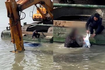 குழந்தை அழுததால் தாயின் கவனம் சிதற ஏரிக்குள் பாய்ந்த கார்: வெளியாகியுள்ள பரபரப்பு வீடியோ