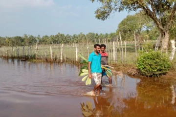 முல்லைத்தீவு உப்புமாவெளியில் கடற்கரை வீதியை புனரமைக்க கோரும் மக்கள்