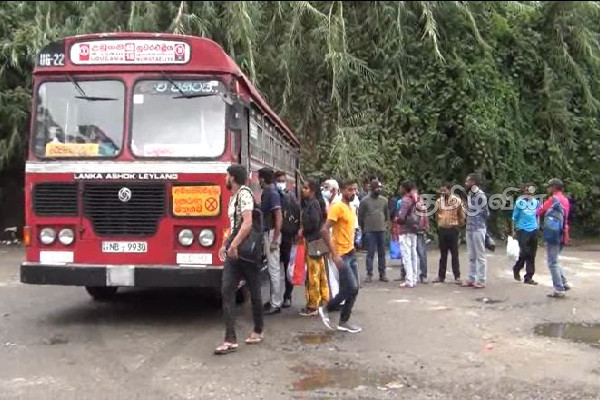 வழமைக்கு திரும்பிய மலையக மக்களின் இயல்பு வாழ்க்கை | Normal Hill People Their Routine