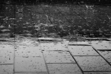 கொழும்பில் தீப்பற்றி எரிந்த கப்பலால் அமில மழை பெய்யும் ஆபத்து