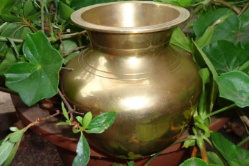 அறிவியலையும் மிஞ்சிய தமிழர்களின் செம்பு குடம்! விஞ்ஞானிகயையும் மிரள வைத்த உண்மைகள்