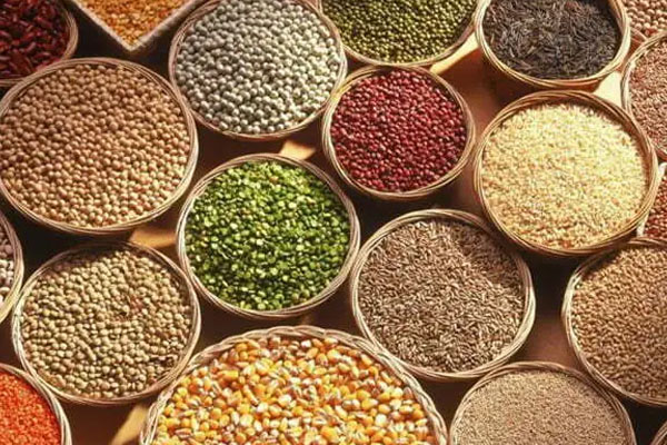 உடல் எடை அதிகரிப்பால் கவலையா? இந்த டயட்டை கடைபிடியுங்கள் | Weight Loss Diet Tips